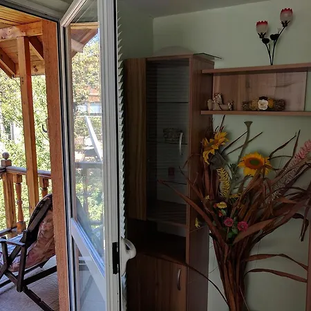 Villa House With Three Verandas Berkovitsa