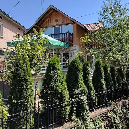 Villa House With Three Verandas Berkovitsa