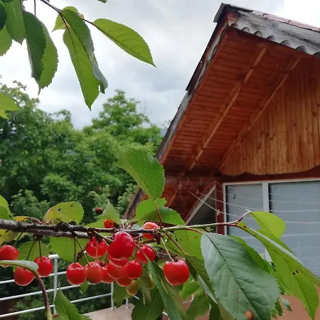 House With Three Verandas